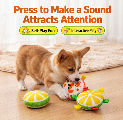 Squeaky Plush Pet Toy