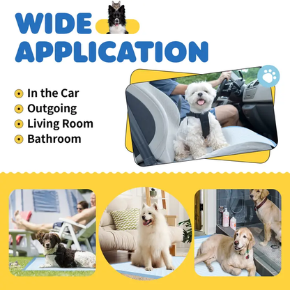 Dog Puppy Pads for Potty Training