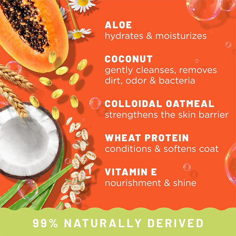 Papaya & Coconut 2-in-1 Pet Shampoo – Long-Lasting Fragrance