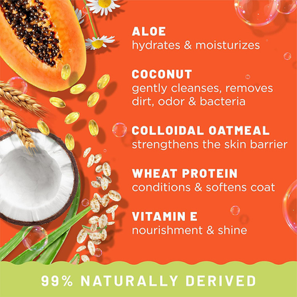 Papaya & Coconut 2-in-1 Pet Shampoo – Long-Lasting Fragrance