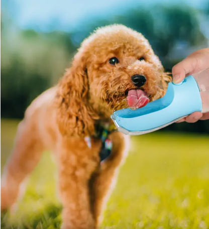 BPA-free 3-in-1 pet water bottle